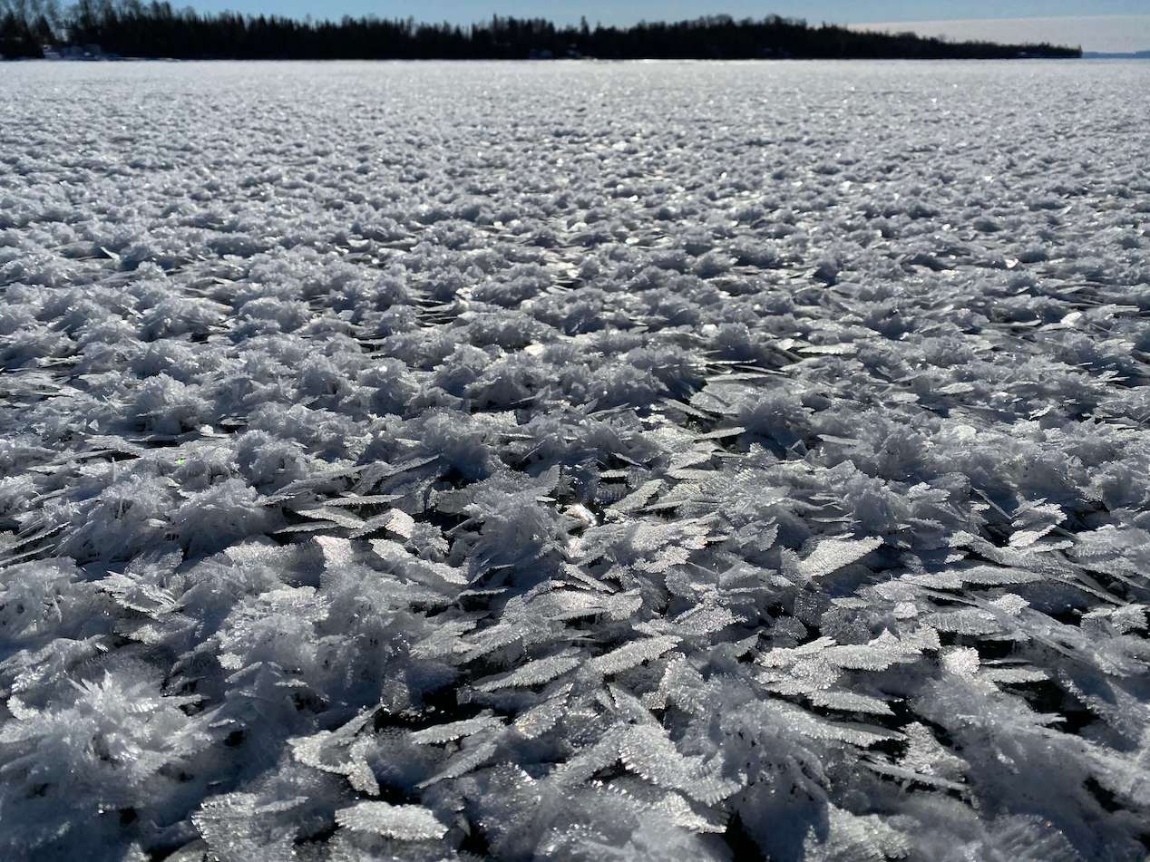 Feathered Ice